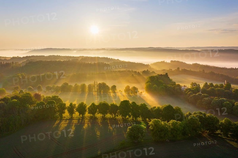 Cultural landscape with fog in morning light