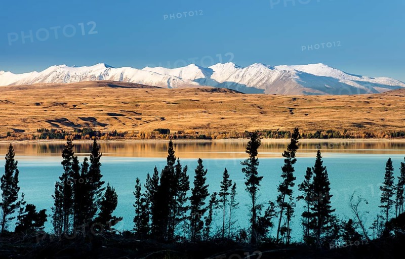 Lake Pukaki in front of snowy mountain range