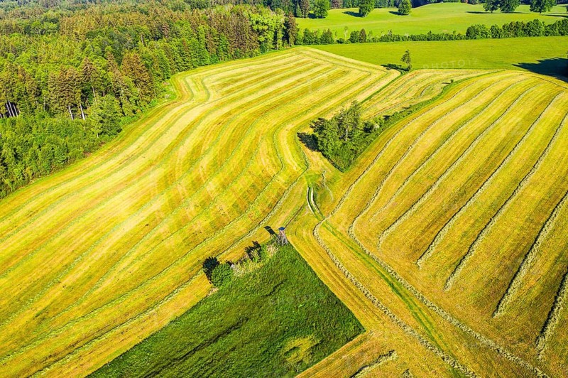 Mowed meadows