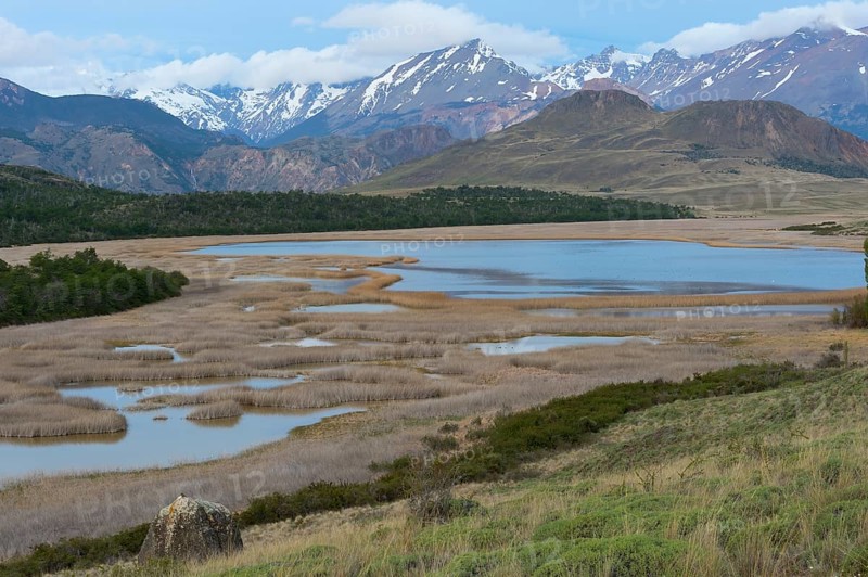 Laguna with marsh grass