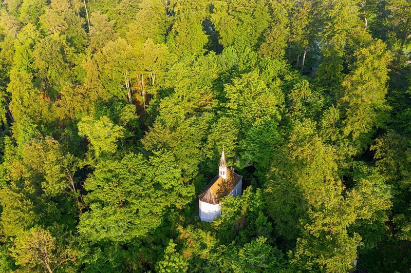 Trinity Chapel in the Mountain Forest