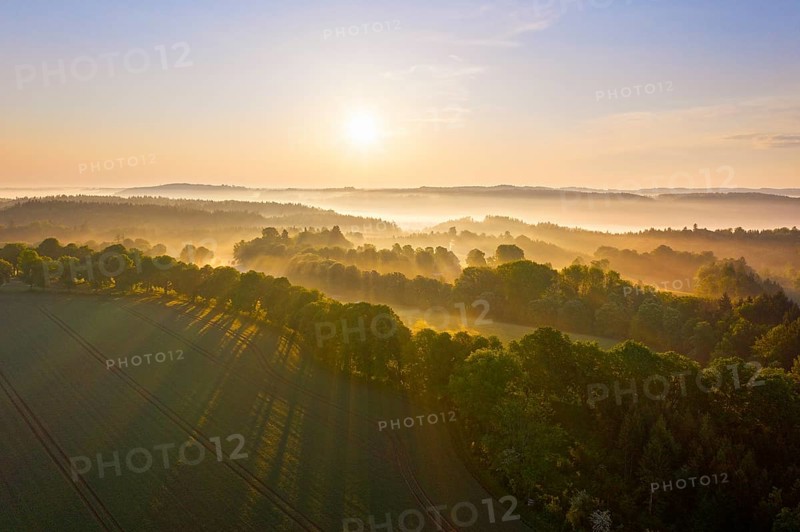 Cultural landscape with fog in morning light
