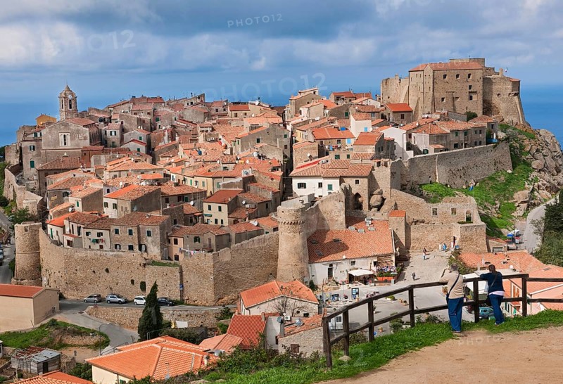 View of village with castle