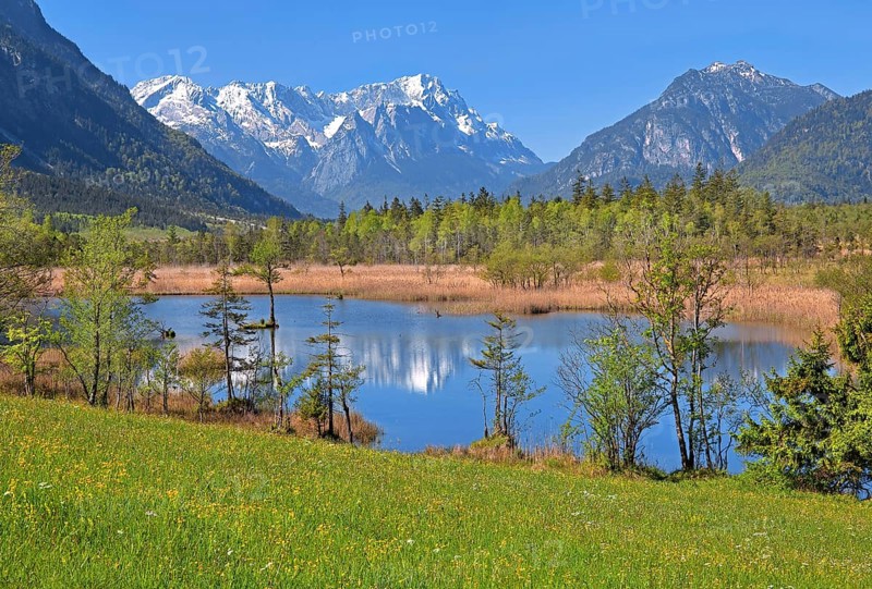Moor landscape near the Seven Springs towards the Zugspitze massif in the Wetterstein range