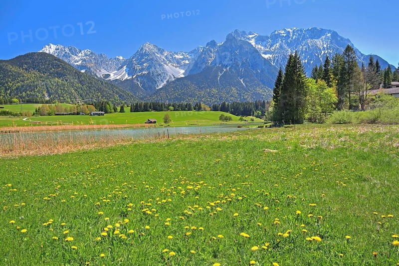 Spring meadow at the Schmalensee in front of Karwendel Mountains