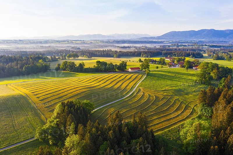Mowed meadow and hamlet Hofstaett