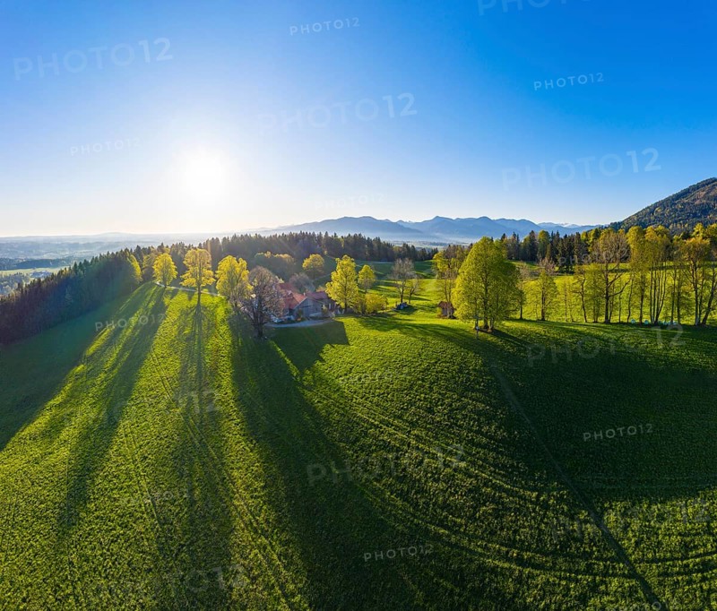 Buchberg near Wackersberg in the morning light