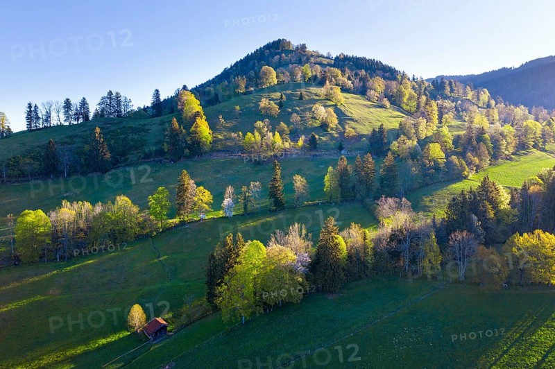 Sonntratn mountain peak in spring