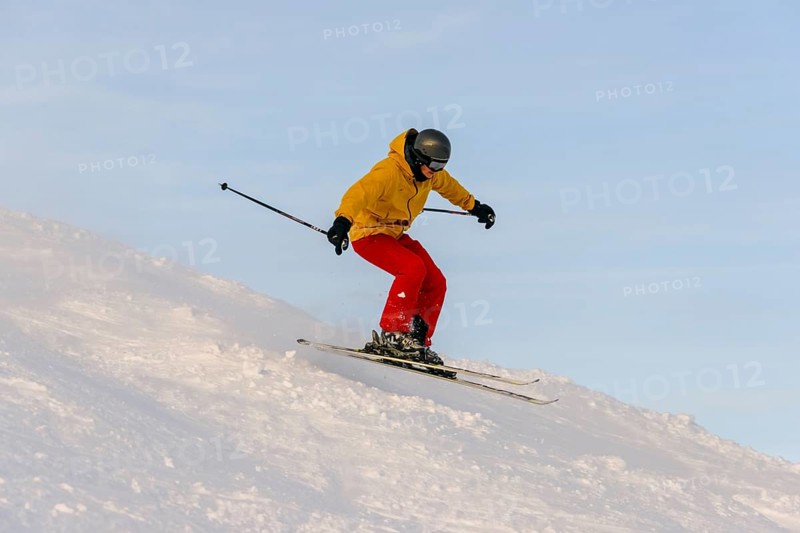 Skier
