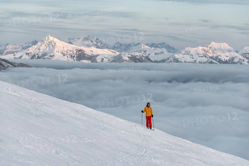 Skier