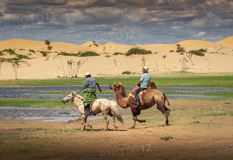 A horse rider pulling a camel rider