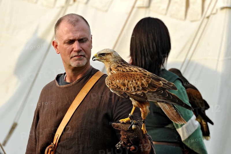 Falconer with Eastern Imperial Eagle