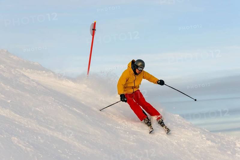 Skier