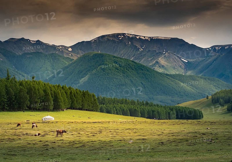 A nomad tent or ger in summer in front of the Hanhuhii Mountains