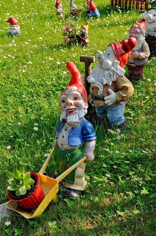 Garden gnomes