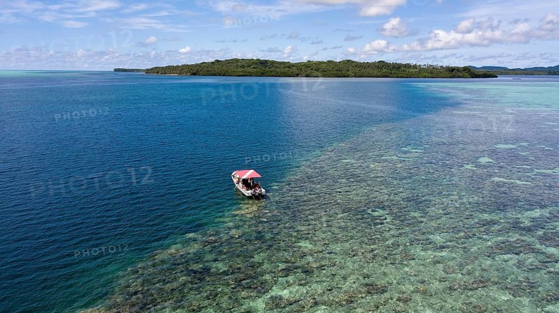 Diving ship at the outer reef