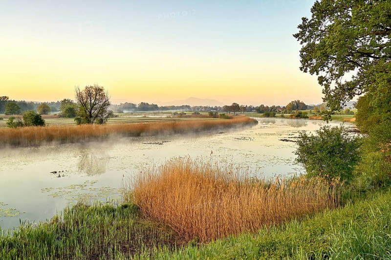 Stille Reuss Nature Reserve