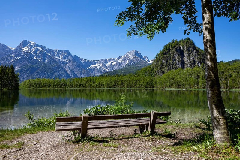 Bench on the shore of the Almsee