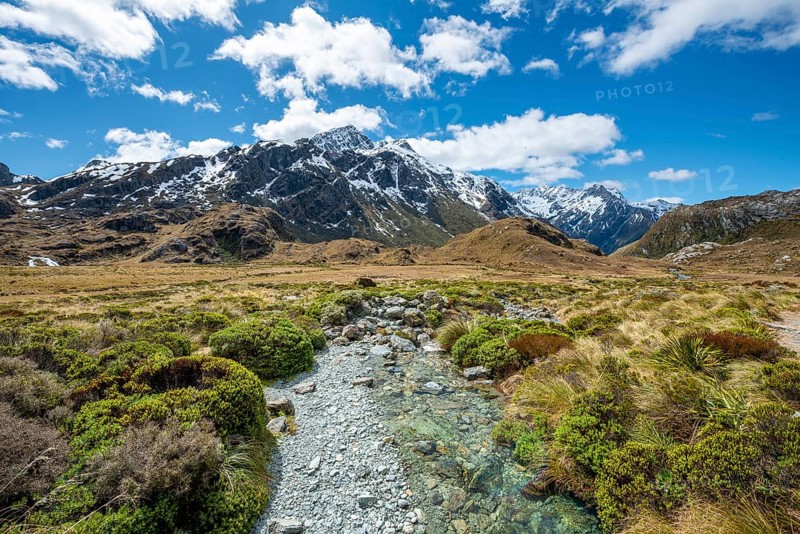Mountain stream Route Burn and Mount Xenicus