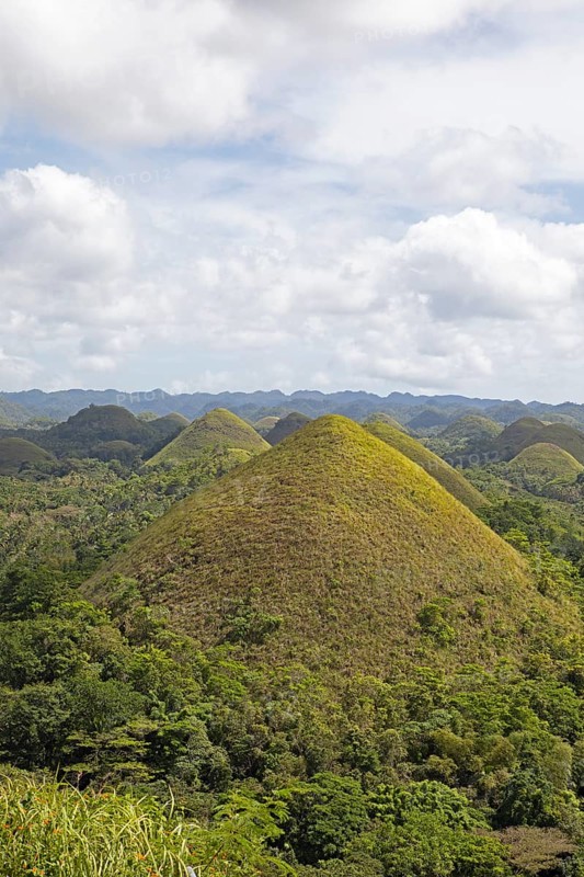 Chocolate Hills