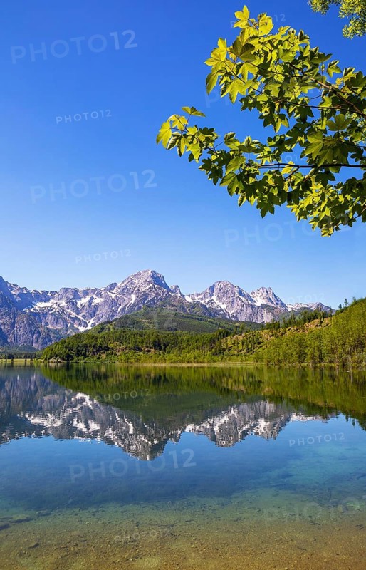 Almsee