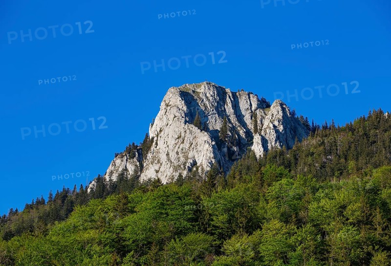 Summit of the Frauenkopf near Fuschl am See