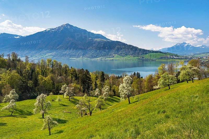 View of Lake Zug with Rigi and Pilatus
