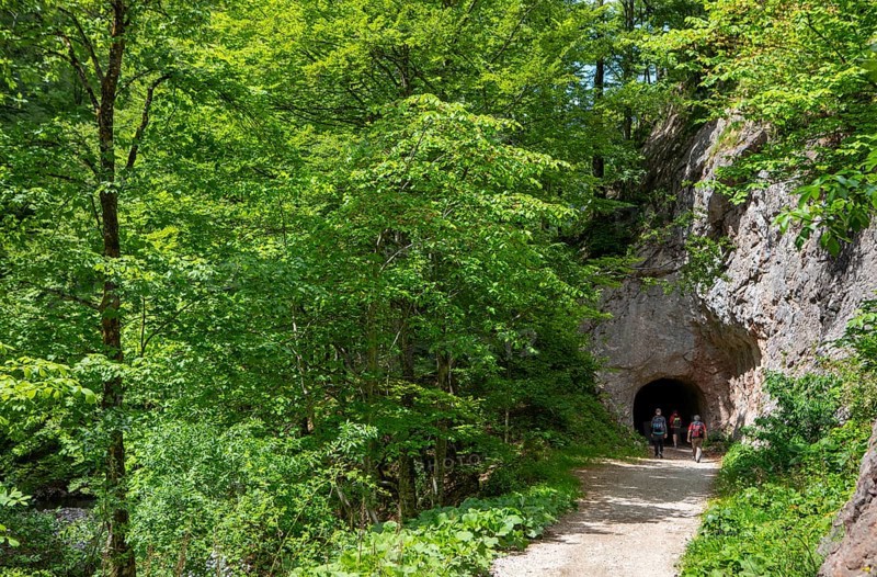 Hike from Rettenbachalm through Rettenbachtal to Blaa Alm