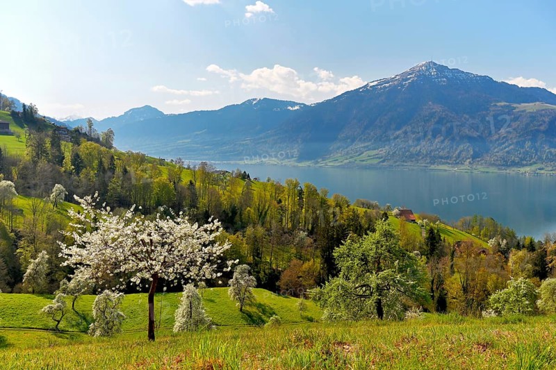 View of Lake Zug and Mount Pilatus