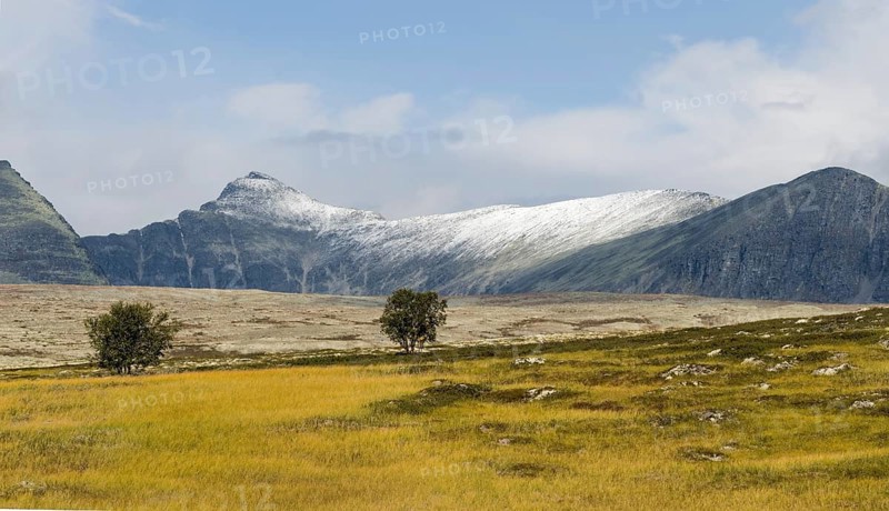 Barren landscape in autumn