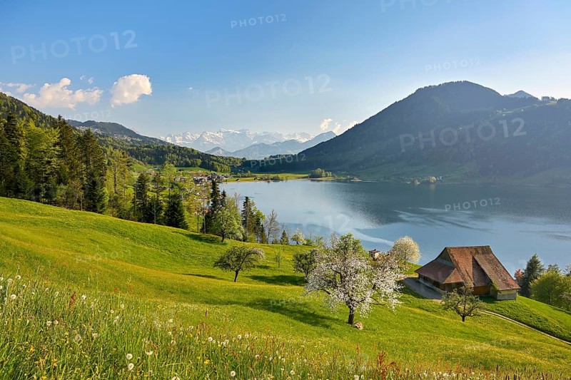 View of Morgarten at Lake Aegeri