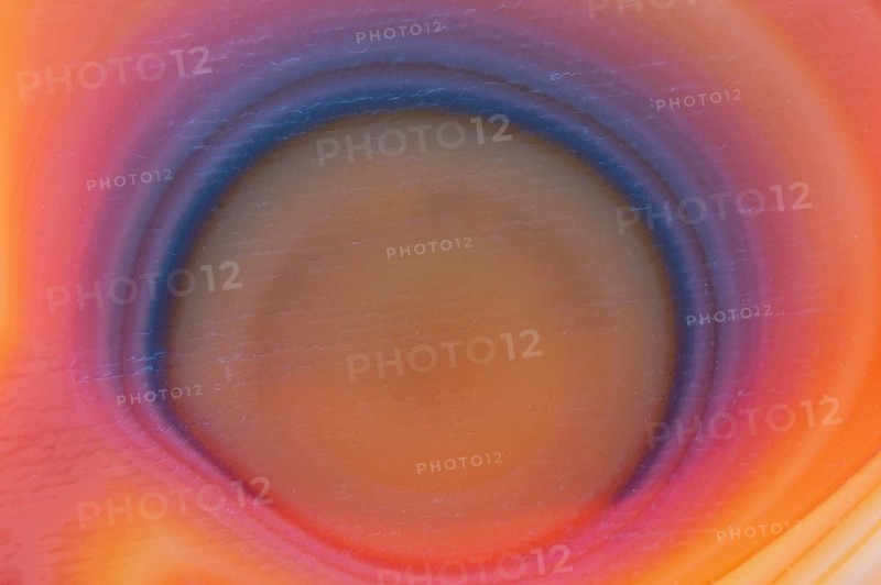 Agate cut
