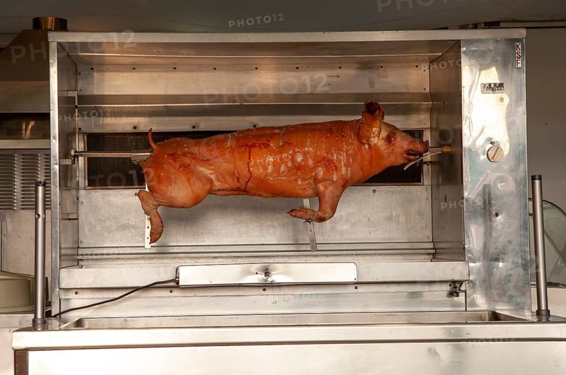 Sucking pig on the grill
