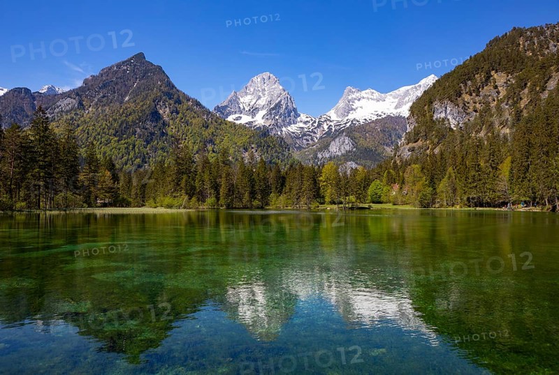 Schiederweiher