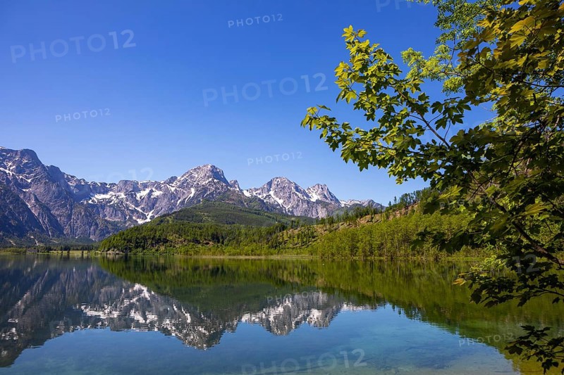 Almsee