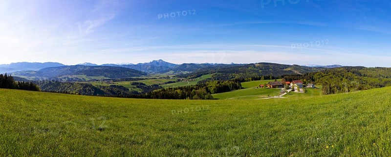 Panoramic view from Lichtenberg