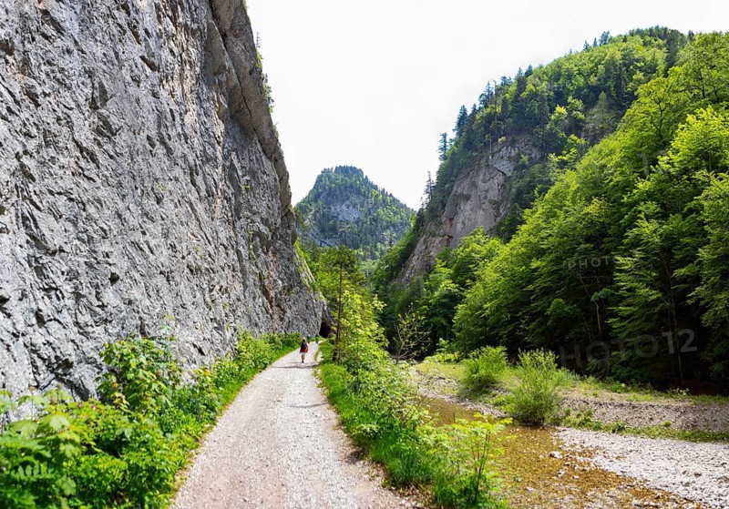 Hike from Rettenbachalm through Rettenbachtal to Blaa Alm