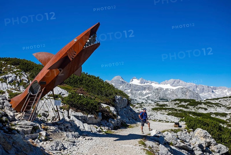 Hikers on the Heilbronn circular hiking trail in front of the Dachstein shark sculpture