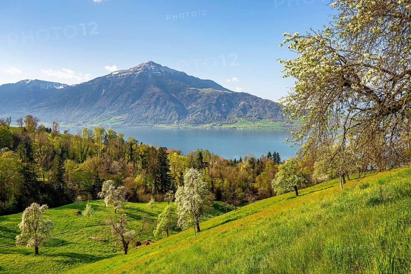 View of Lake Zug and the Rigi