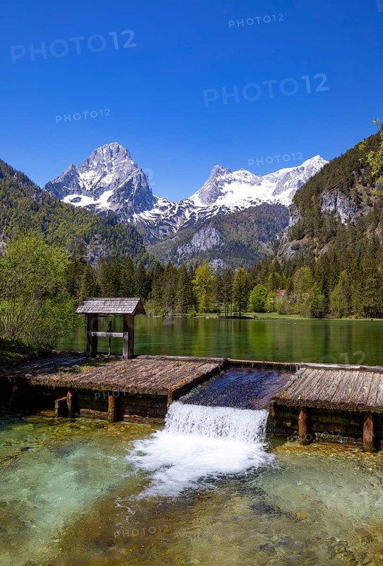 Schiederweiher