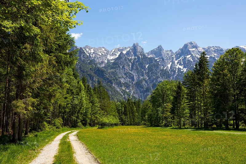 Hiking trail in Almtal