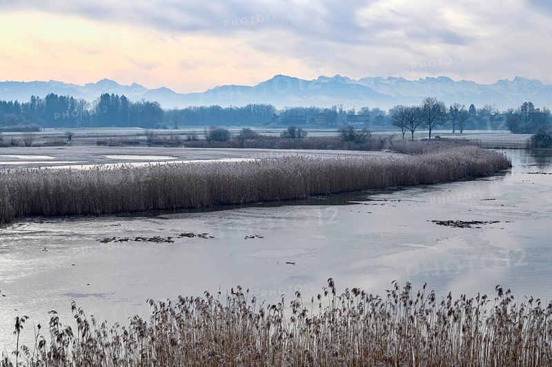 Stille Reuss Nature Reserve