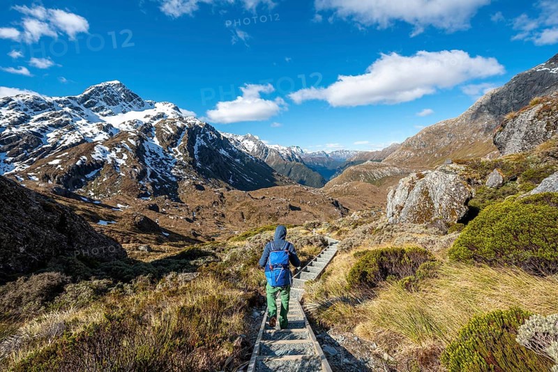 Hiker on the Routeburn Track