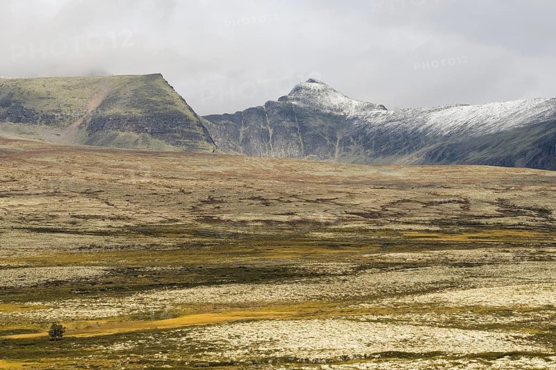 Barren landscape in autumn