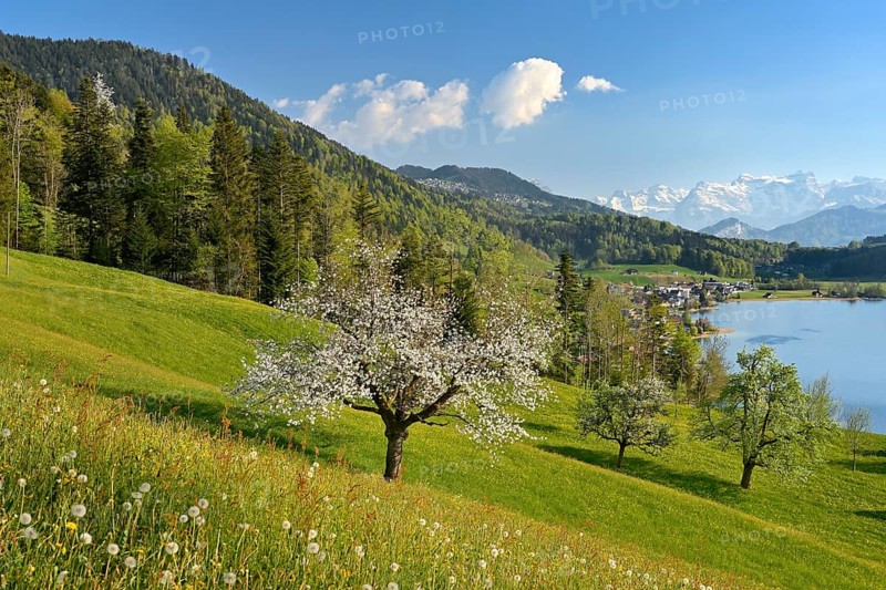 View of Morgarten at Lake Aegeri