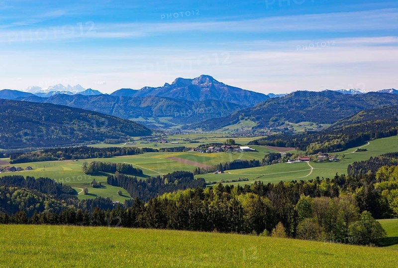 Panoramic view from Lichtenberg