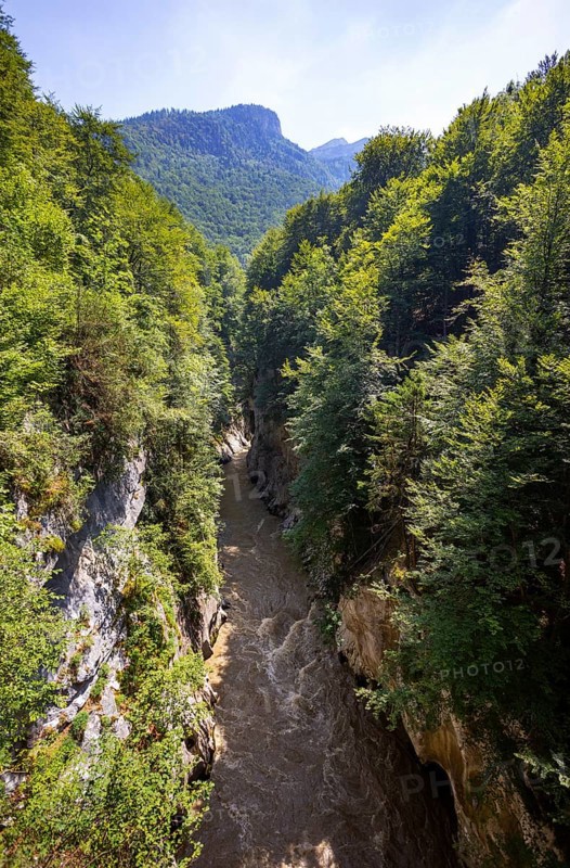 Salzachoefen