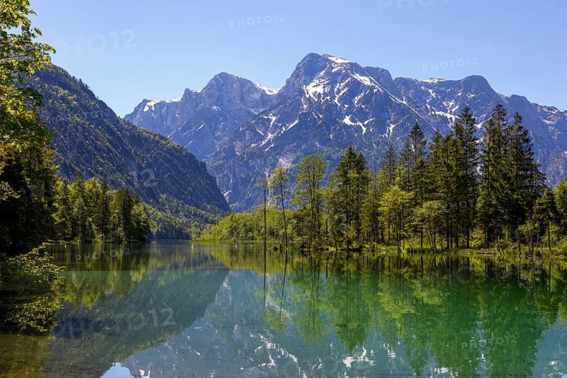 Almsee