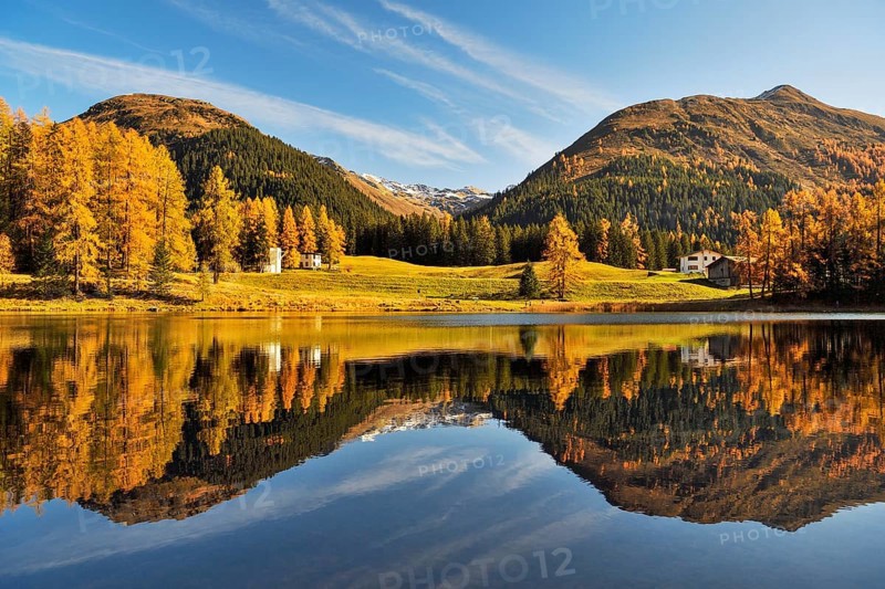 Autumnally discoloured larch forest reflected in Schwarzsee