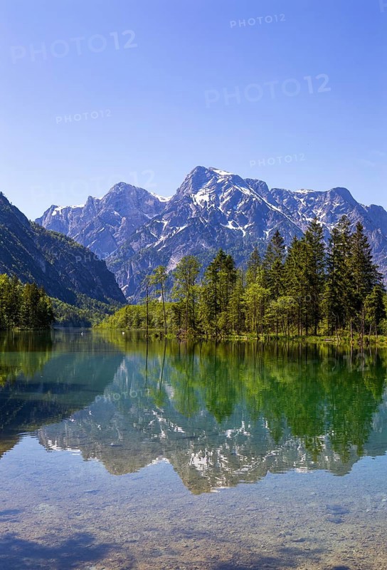 Almsee
